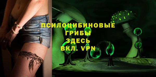 PSILOCYBIN Шадринск