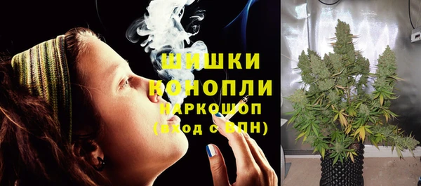 мдпв Магас