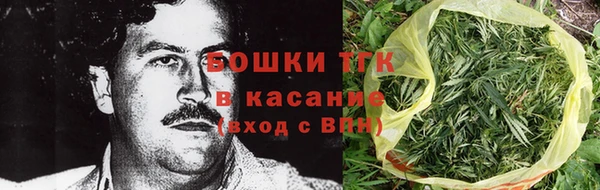 мдпв Магас