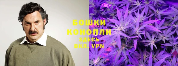 дмт Магадан