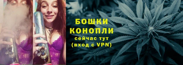 мдпв Магас