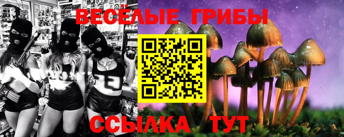 Псилоцибиновые грибы мухоморы  как найти закладки  Алатырь  Псилоцибиновые грибы Psilocybe 