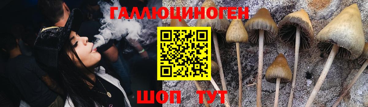 Алатырь  Псилоцибиновые грибы мухоморы  Вход с VPN 